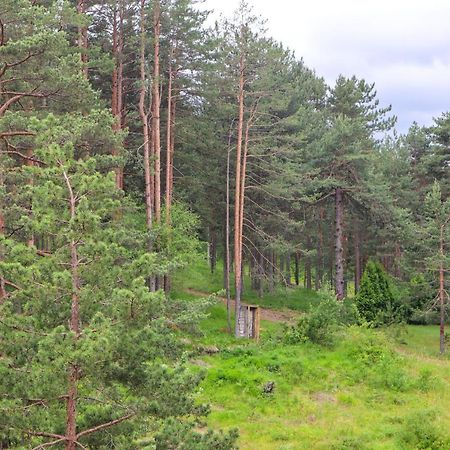 Zlatibor Holiday, Vila Leonardo VI 外观 照片