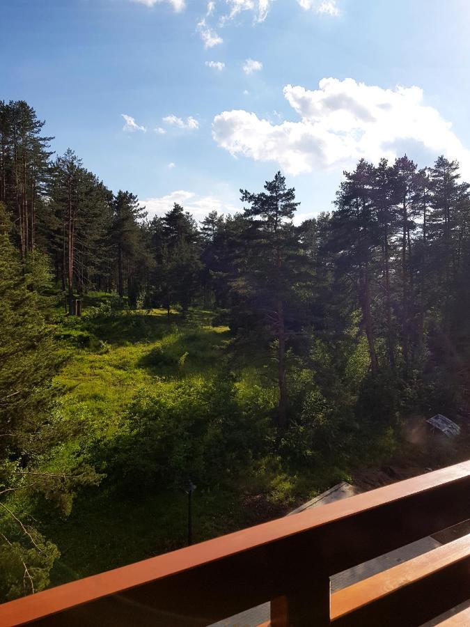 Zlatibor Holiday, Vila Leonardo VI 外观 照片