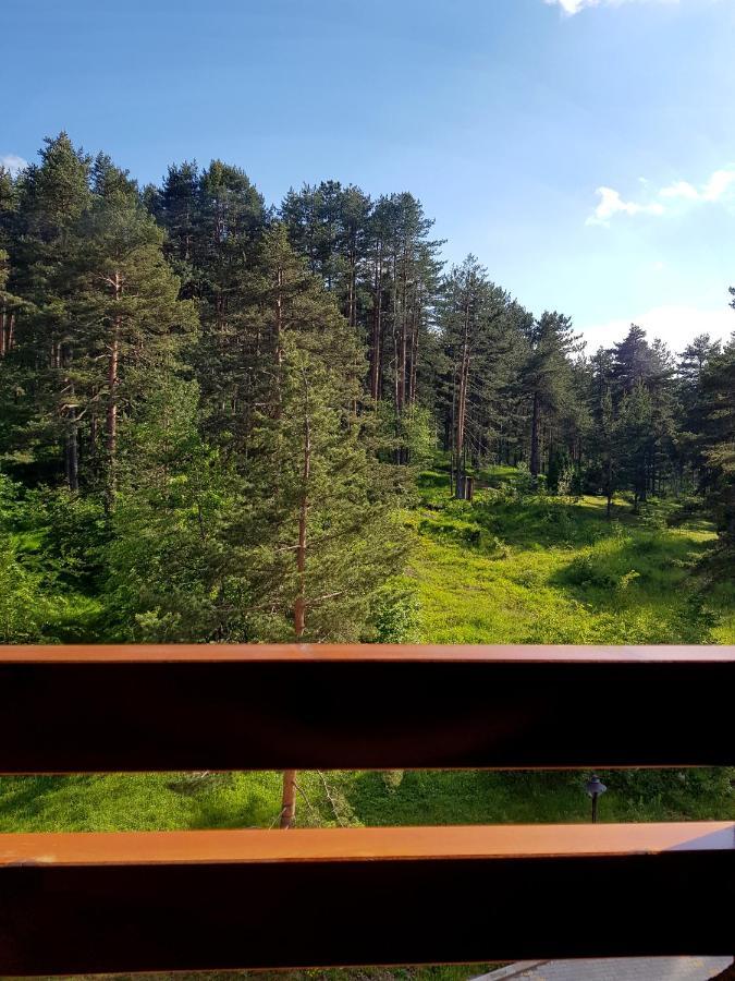 Zlatibor Holiday, Vila Leonardo VI 外观 照片